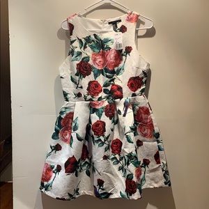NWT Beautiful A-line floral dress